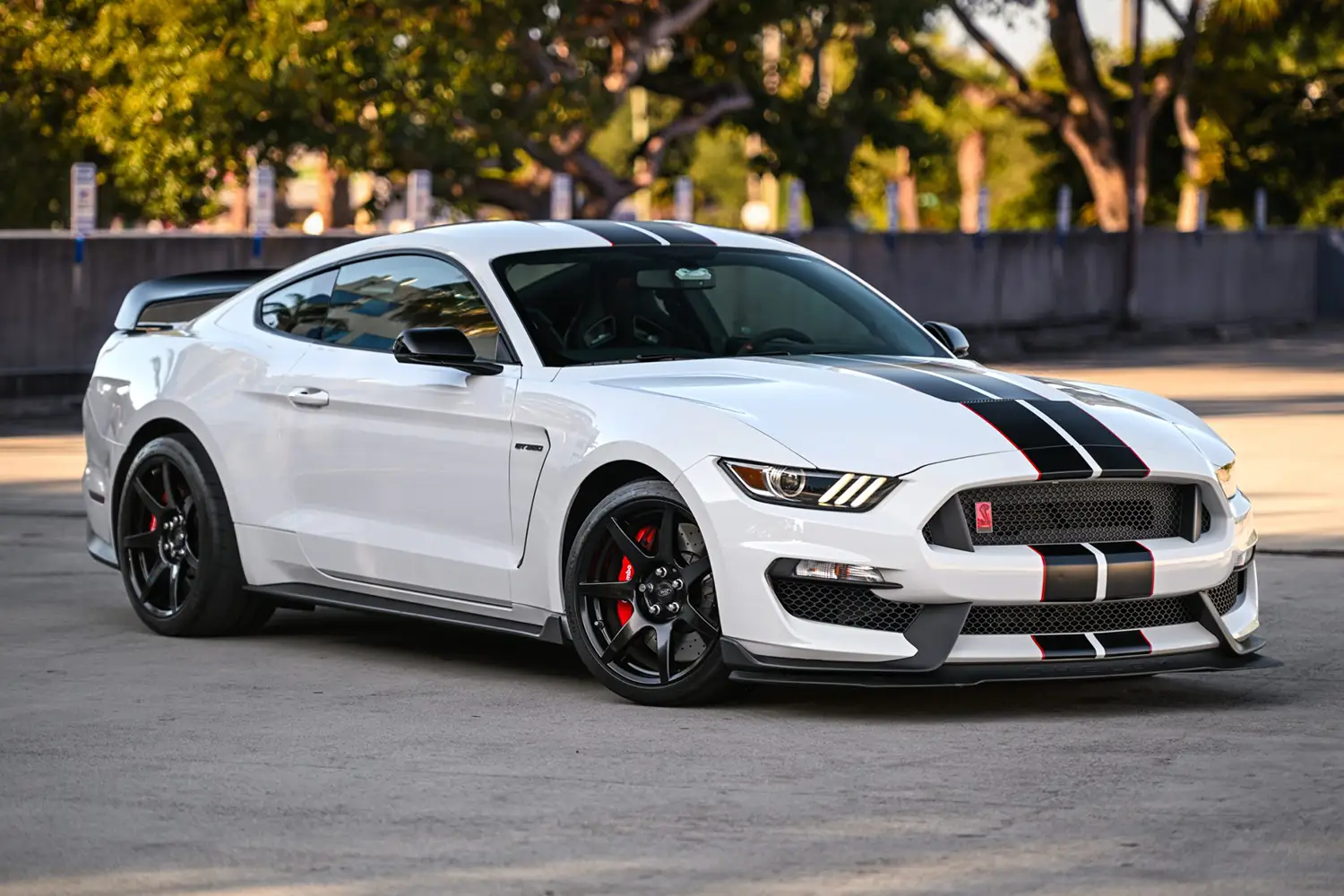 2017 Ford Mustang Shelby GT350R