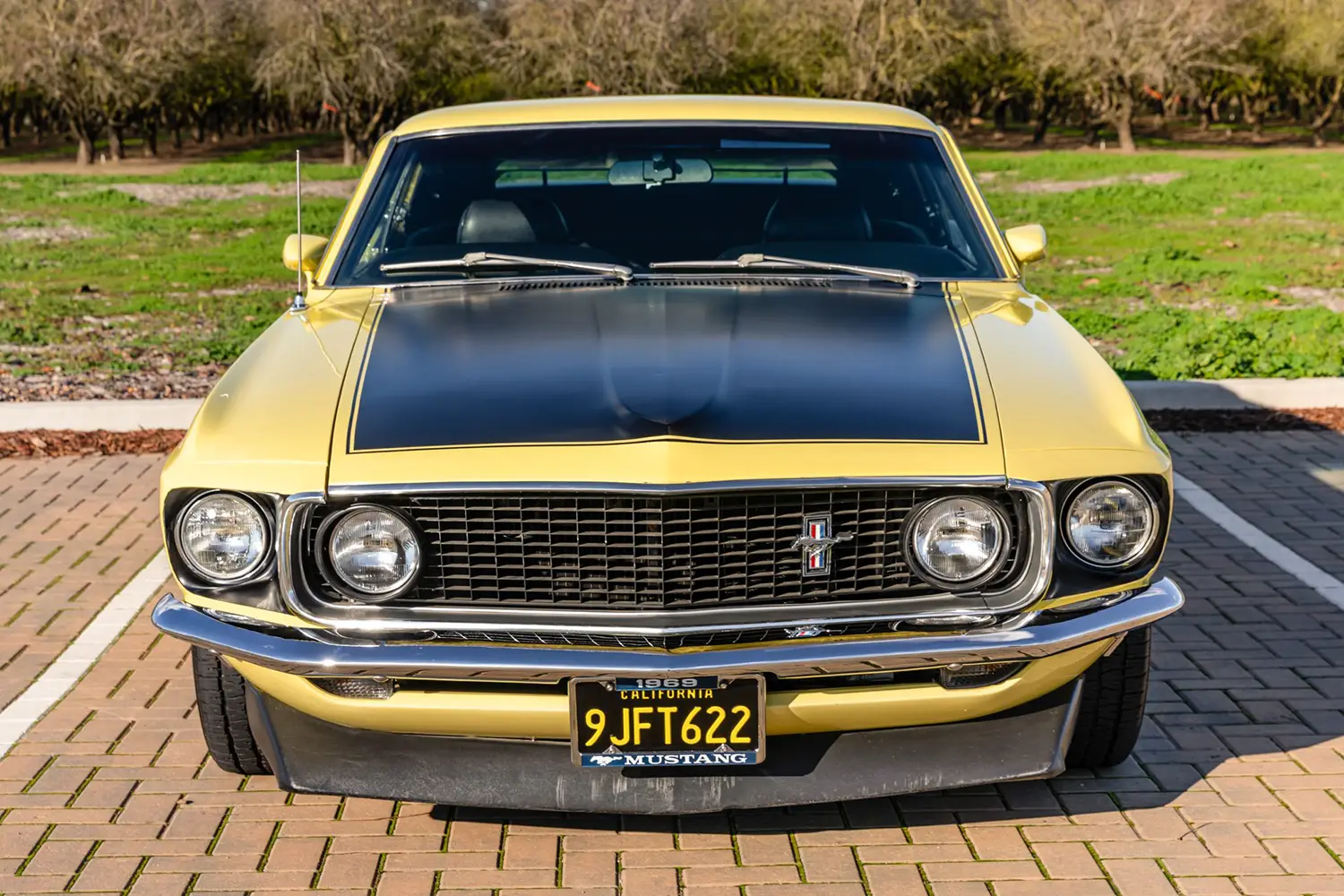 1969 Ford Mustang Boss 302