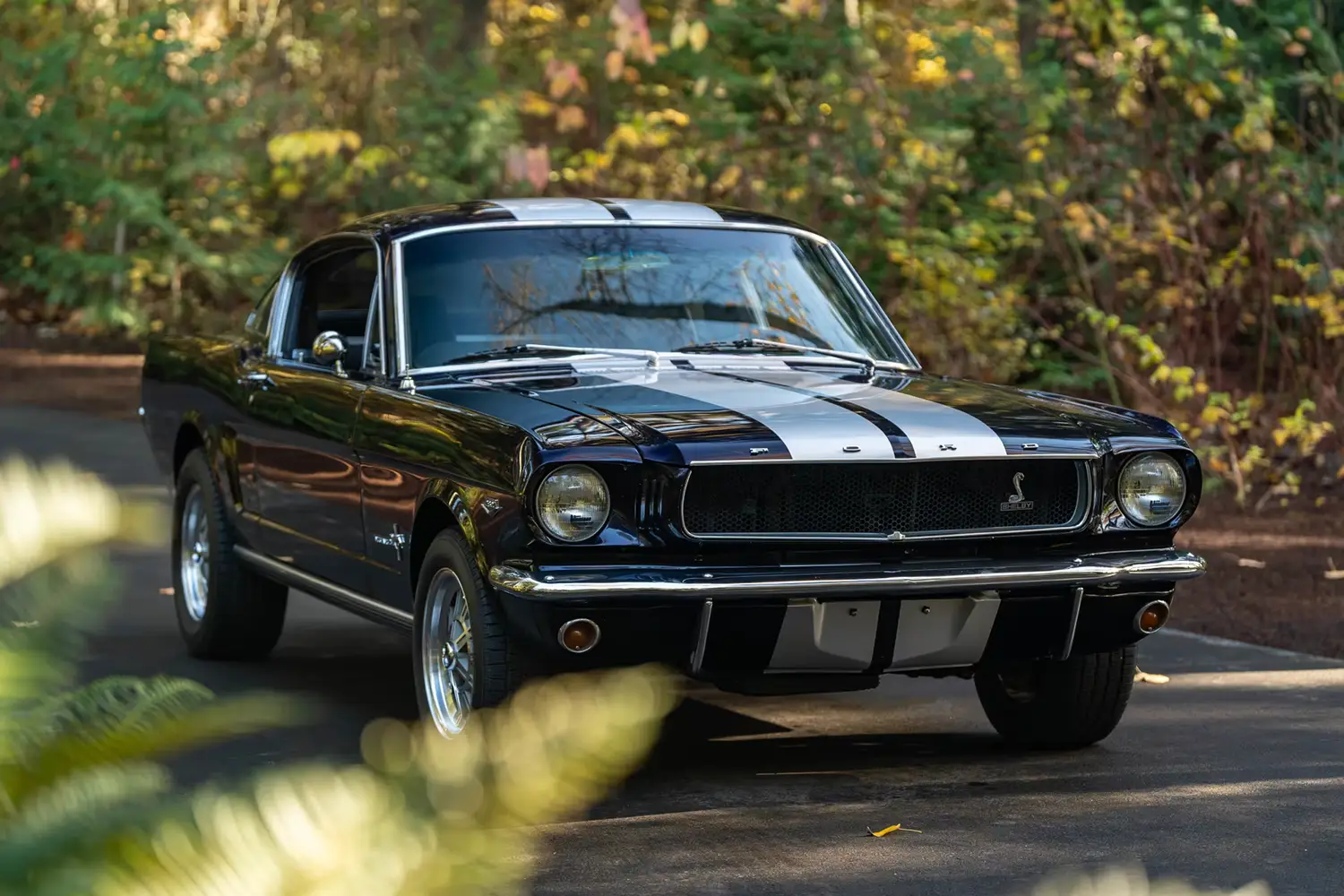 1965 Ford Mustang Fastback