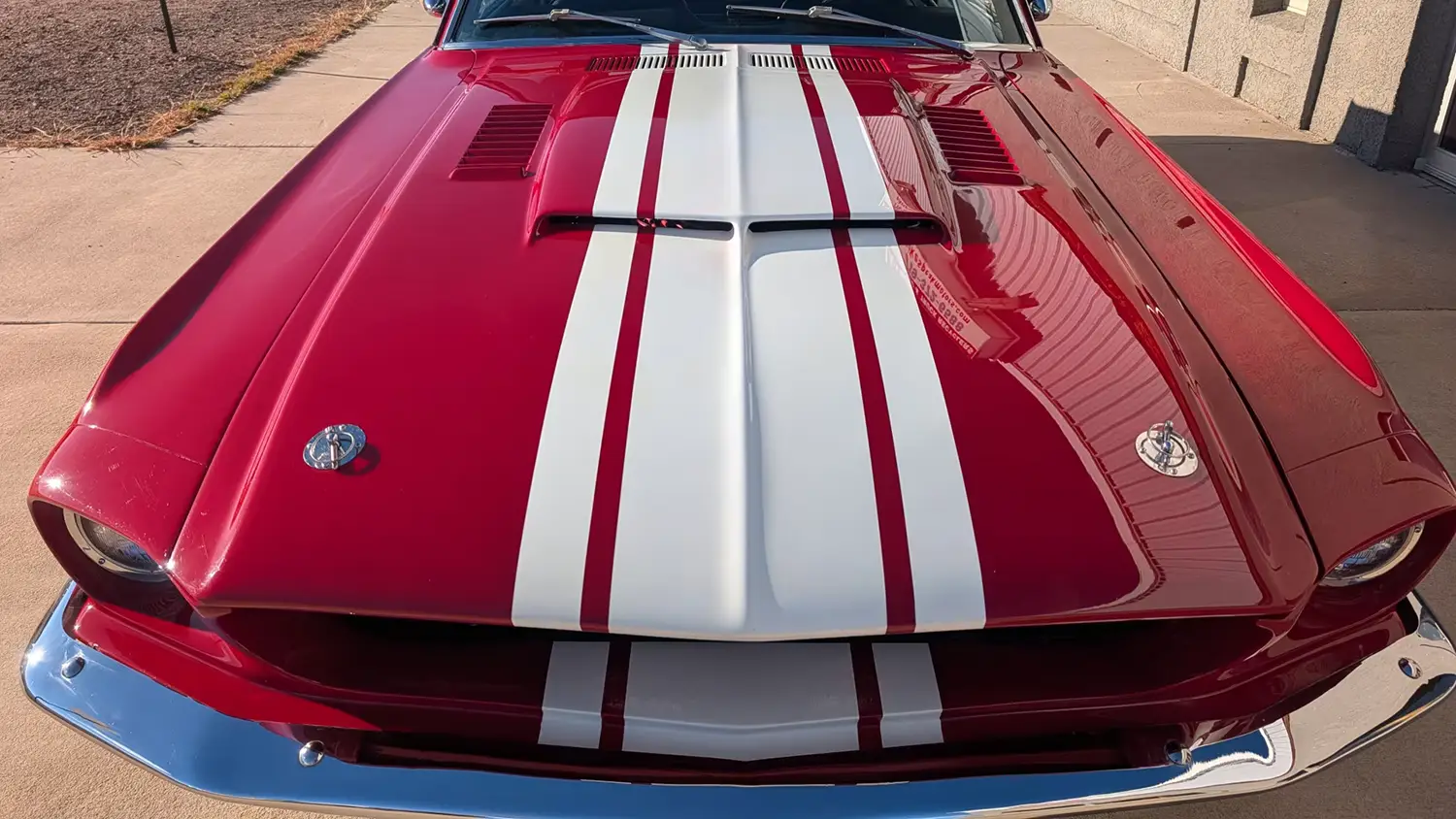 1967 Ford Mustang Fastback Super Snake Replica 1967 Ford Mustang Fastback Super Snake Replica