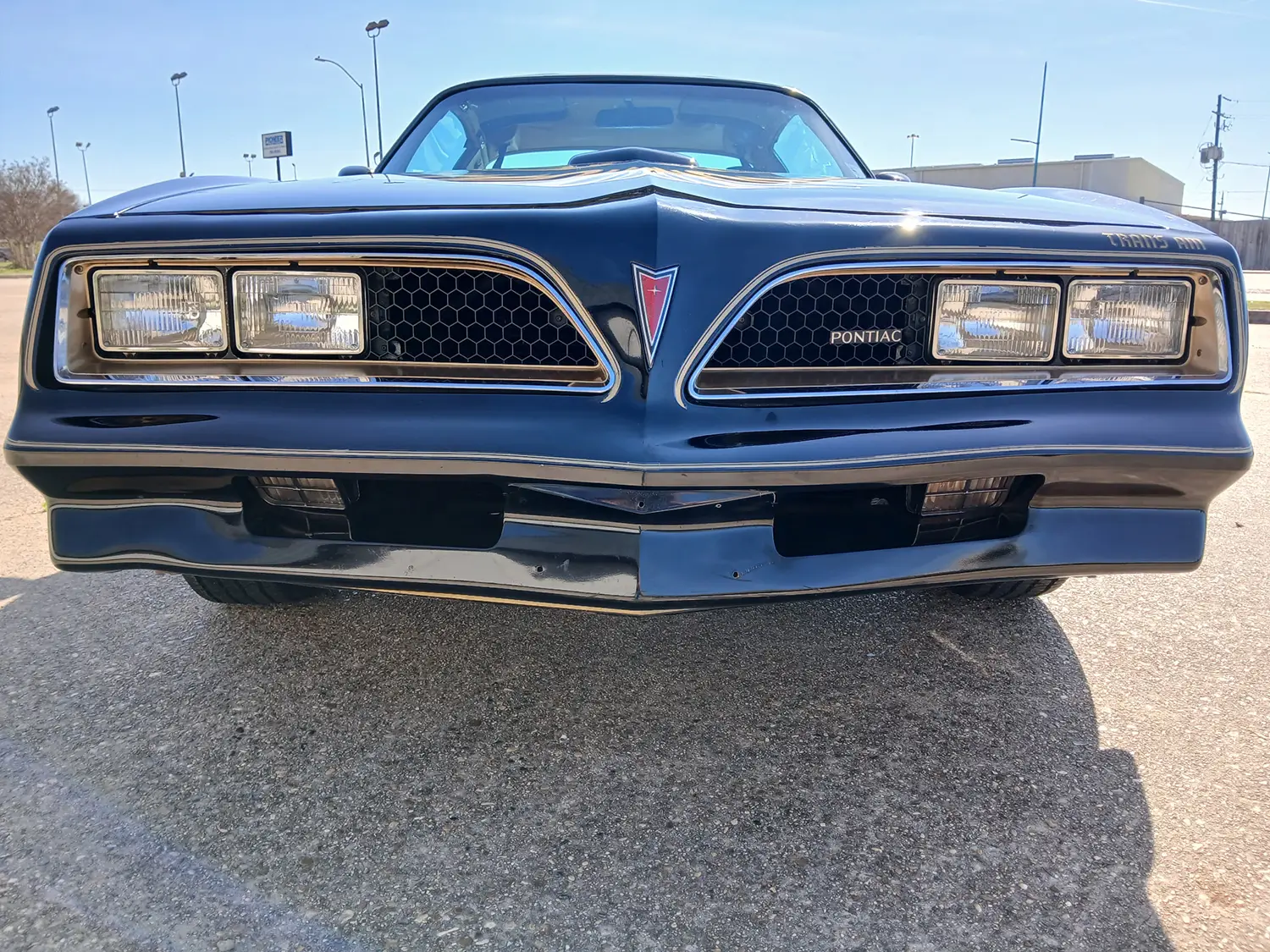 1977 Pontiac Firebird Trans Am