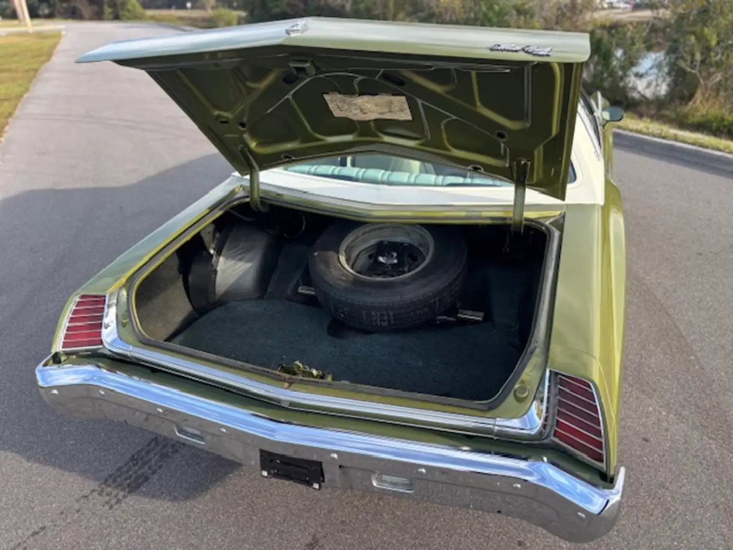 1973 Chevrolet Monte Carlo