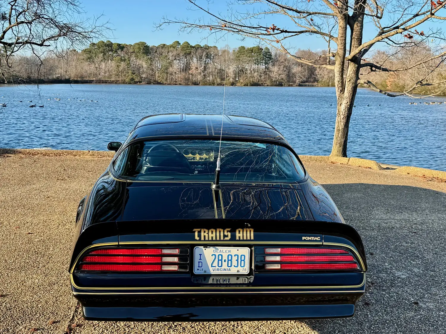 1978 Pontiac Firebird Trans Am