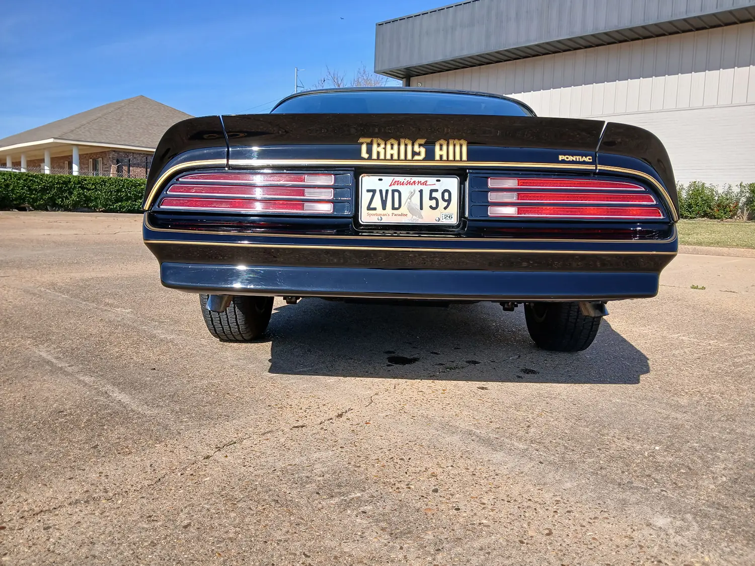 1977 Pontiac Firebird Trans Am