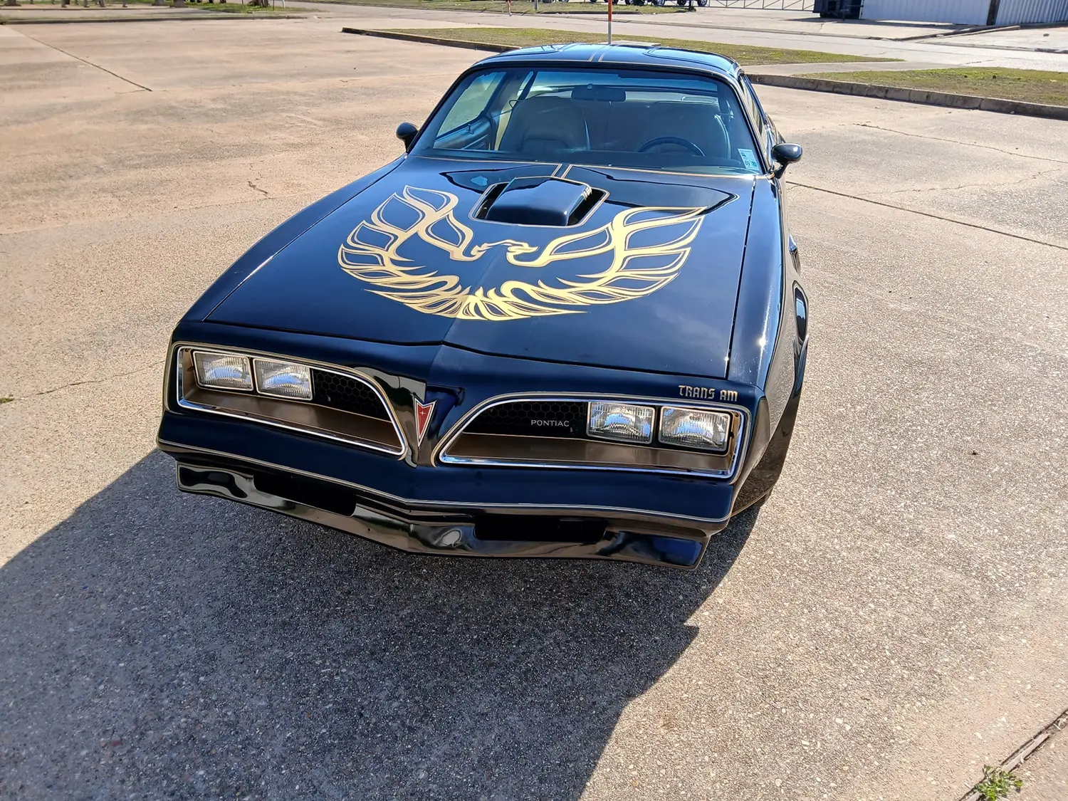 1977 Pontiac Firebird Trans Am