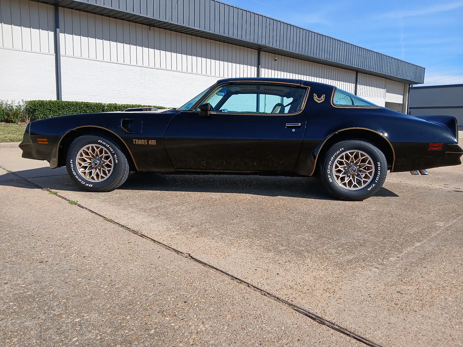 1977 Pontiac Firebird Trans Am