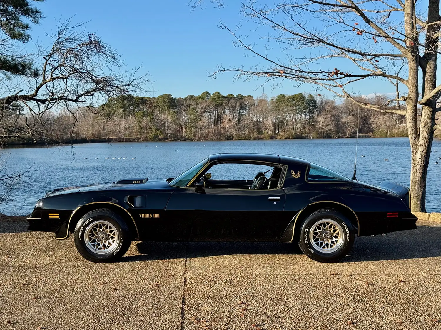 1978 Pontiac Firebird Trans Am