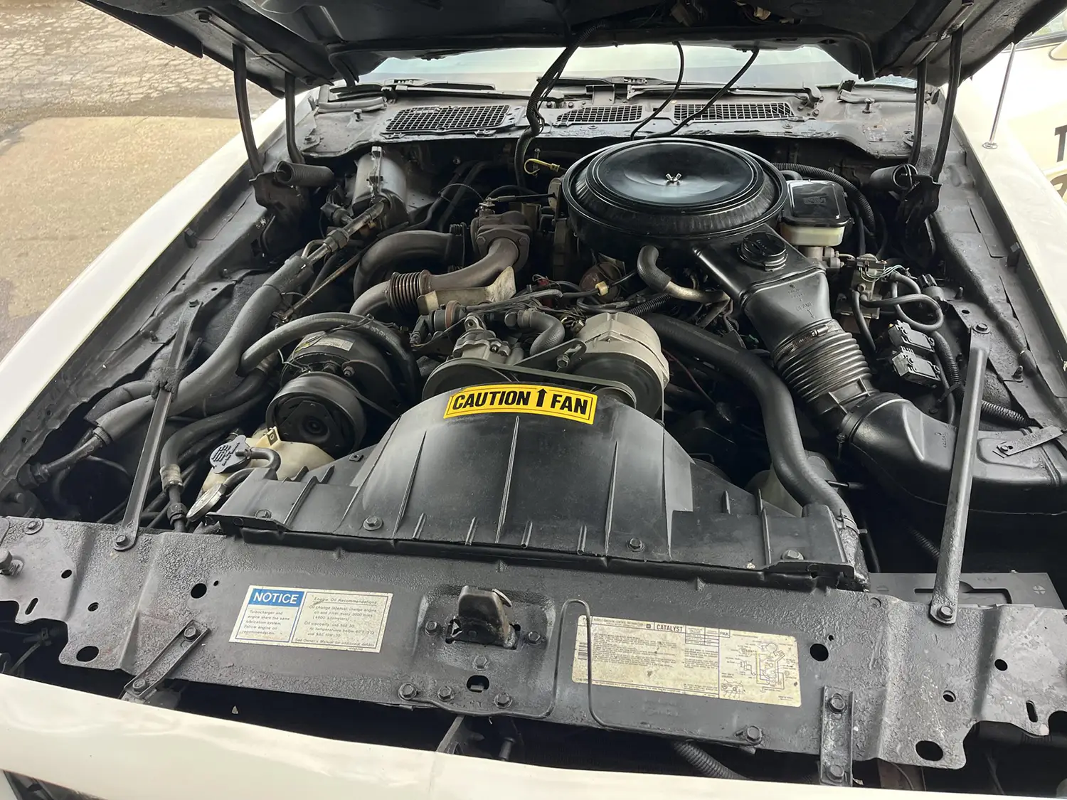 1981 Pontiac Firebird Turbo Trans Am