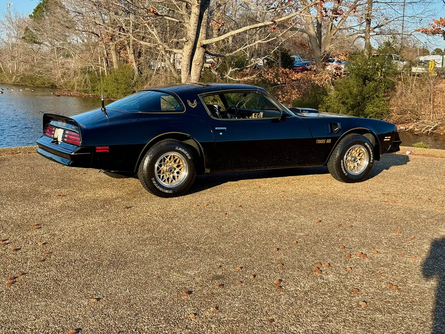 1978 Pontiac Firebird Trans Am