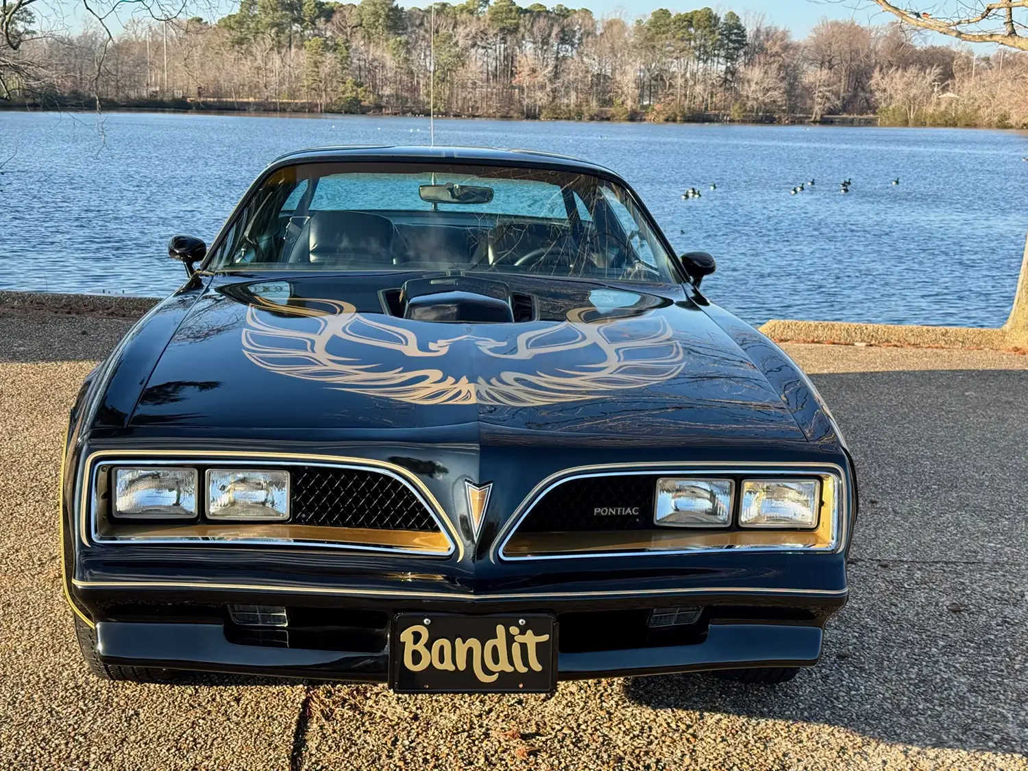 1978 Pontiac Firebird Trans Am