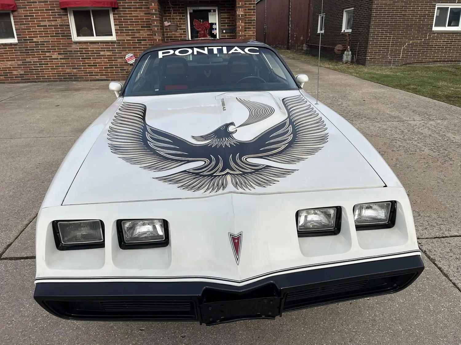 1981 Pontiac Firebird Turbo Trans Am