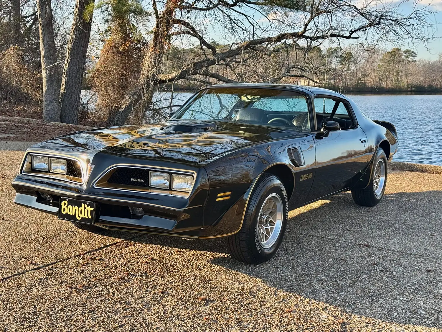 1978 Pontiac Firebird Trans Am