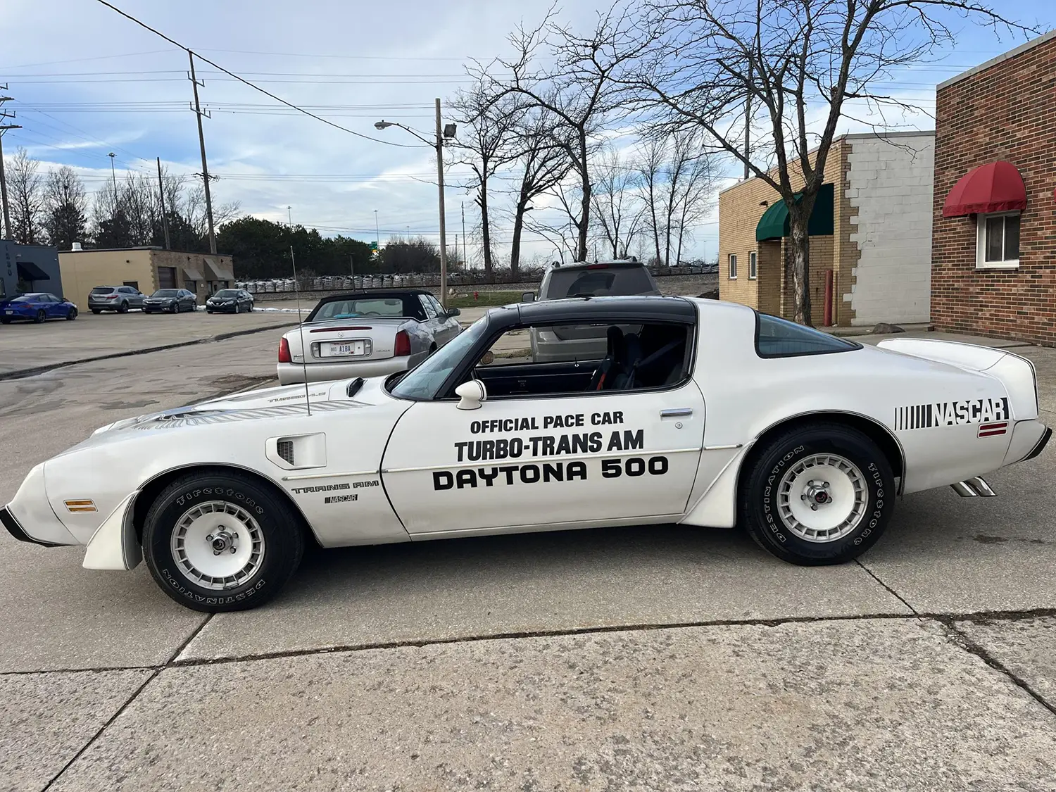 1981 Pontiac Firebird Turbo Trans Am