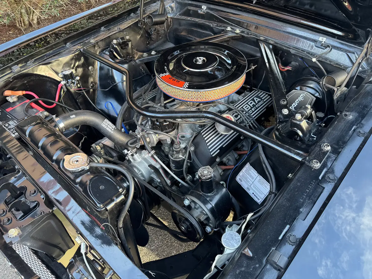 1965 Ford Mustang Fastback 1965 Ford Mustang Fastback