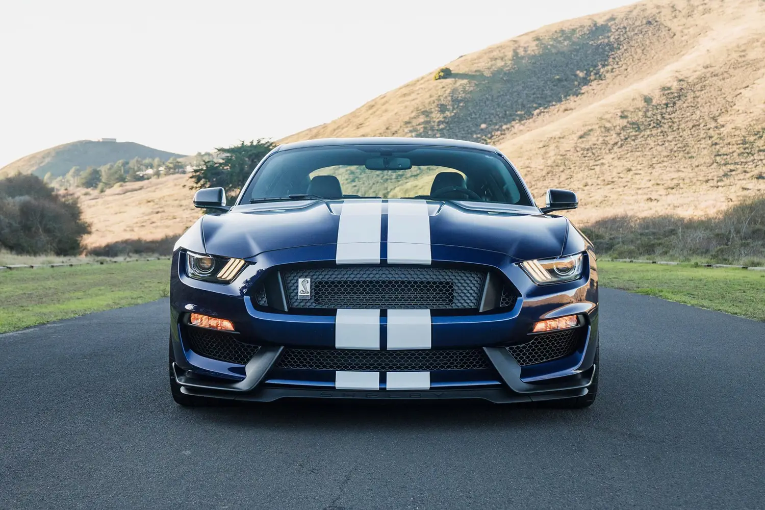 2018 Ford Mustang Shelby GT350