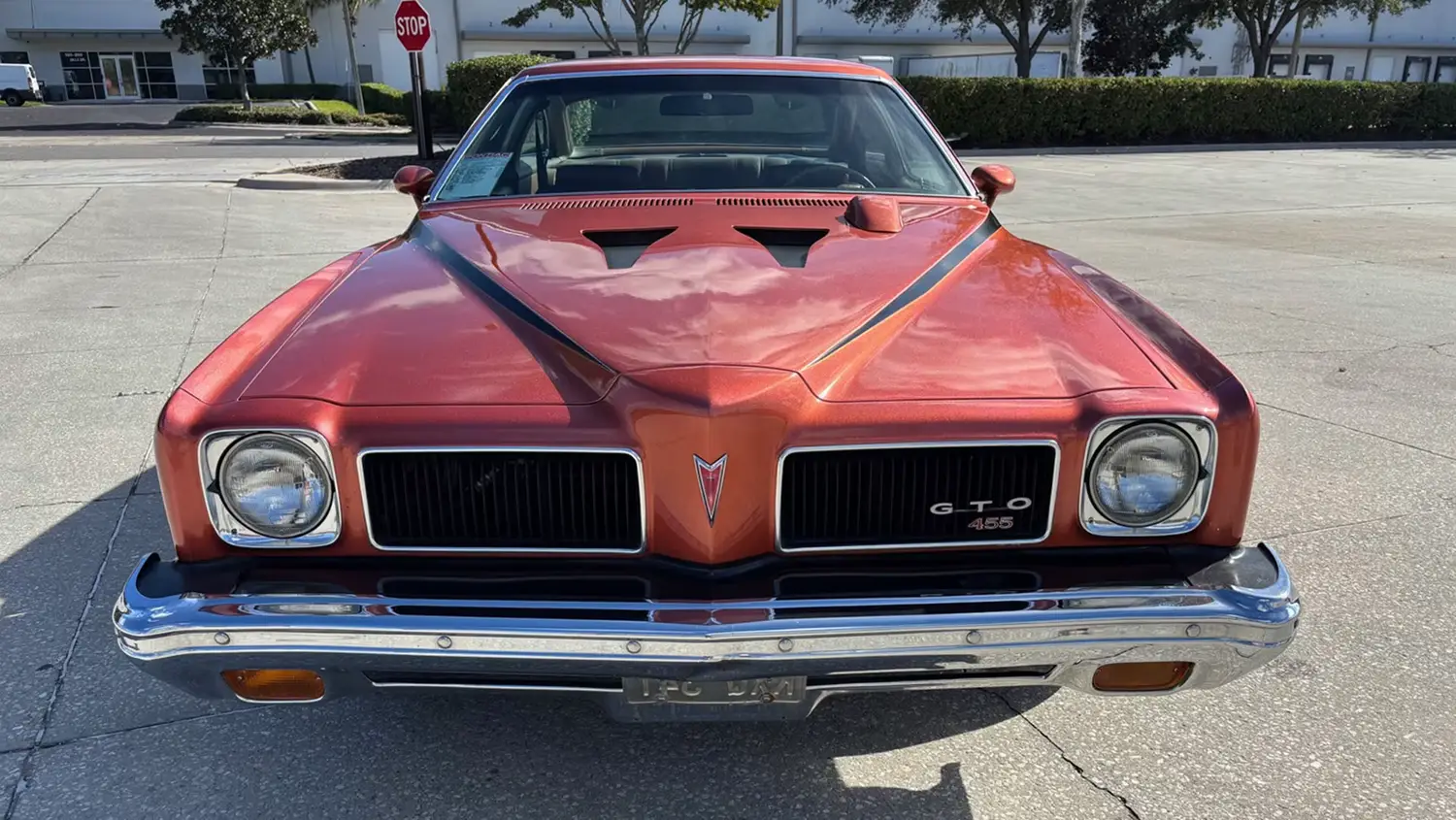 1973 Pontiac GTO 1973 Pontiac GTO