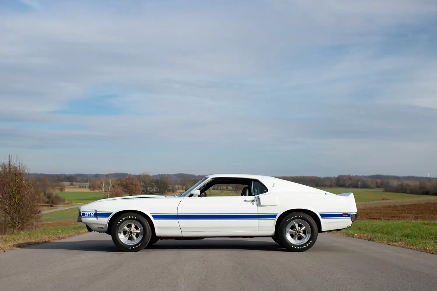 1969 Shelby GT350 Fastback 1969 Shelby GT350 Fastback