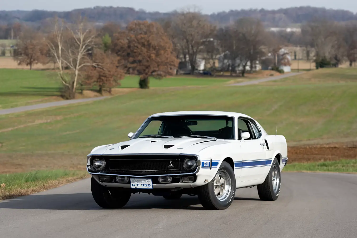 1969 Shelby GT350 Fastback 1969 Shelby GT350 Fastback