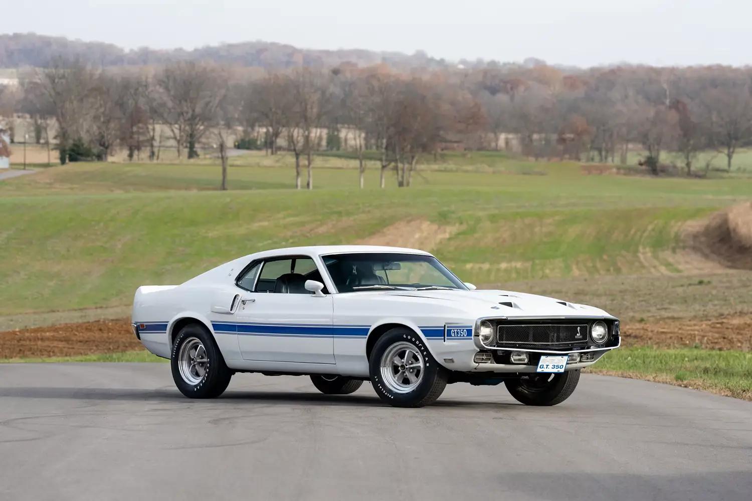 1969 Shelby GT350 Fastback 1969 Shelby GT350 Fastback