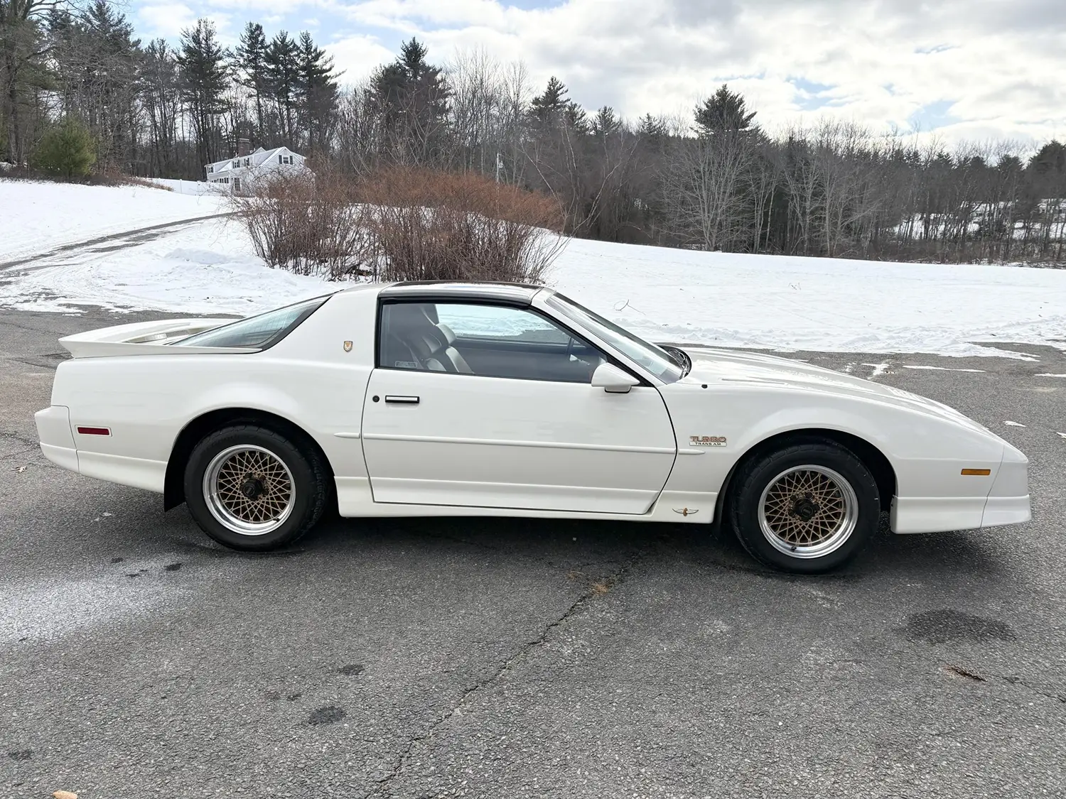 1989 Pontiac Firebird Turbo Trans Am