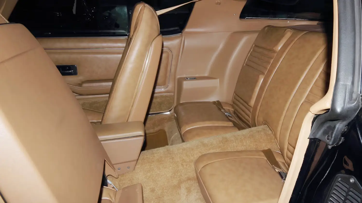 1979 Pontiac Trans Am SE