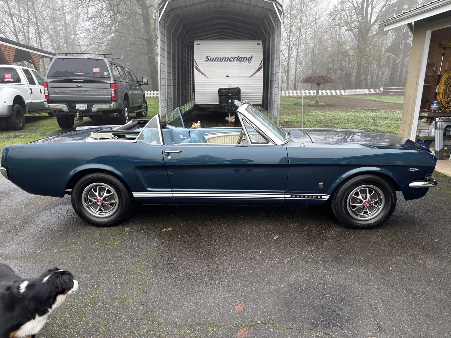 1966 Ford Mustang GT Convertible A-Code 289