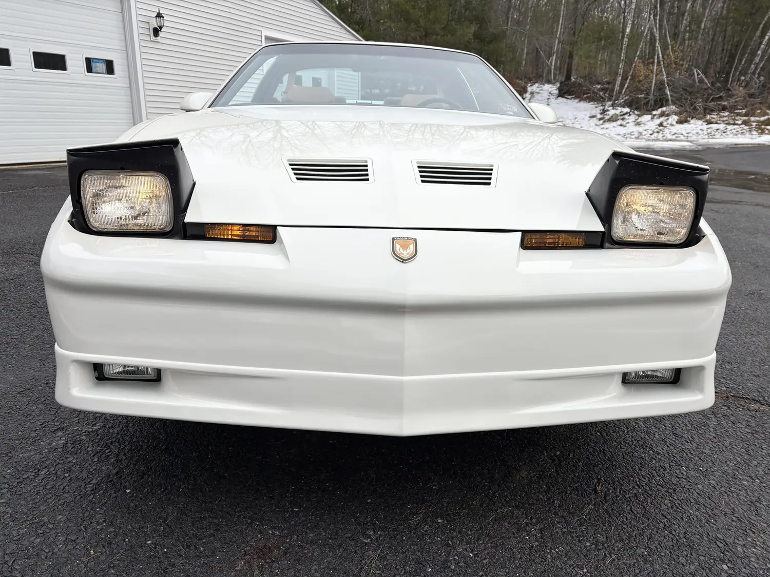 1989 Pontiac Firebird Turbo Trans Am