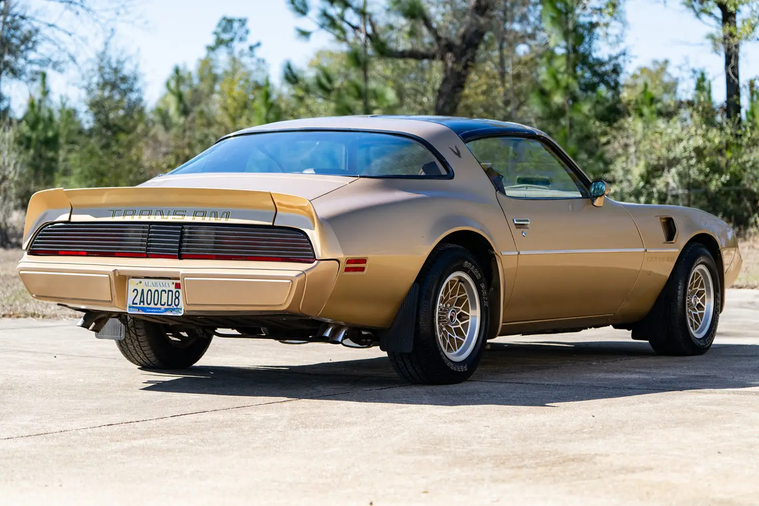 1979 Pontiac Firebird Trans Am 1979 Pontiac Firebird Trans Am