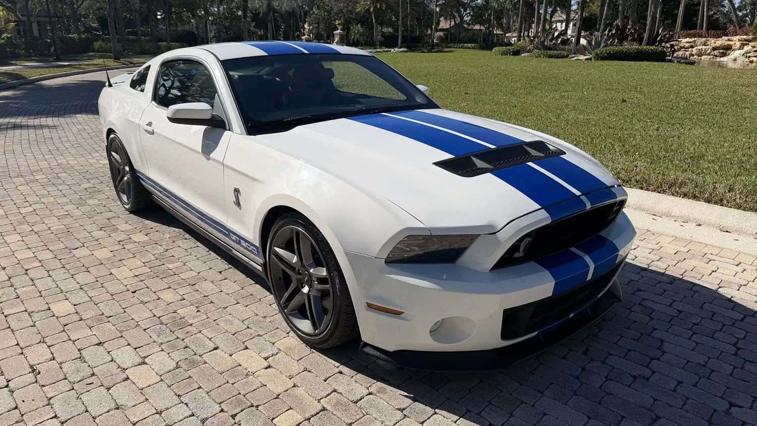 2010 Ford Shelby GT500 2010 Ford Shelby GT500