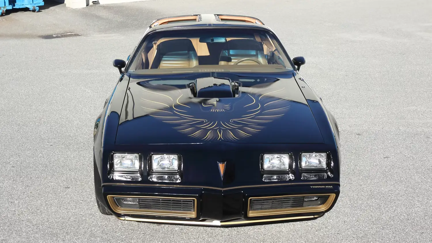 1979 Pontiac Trans Am SE