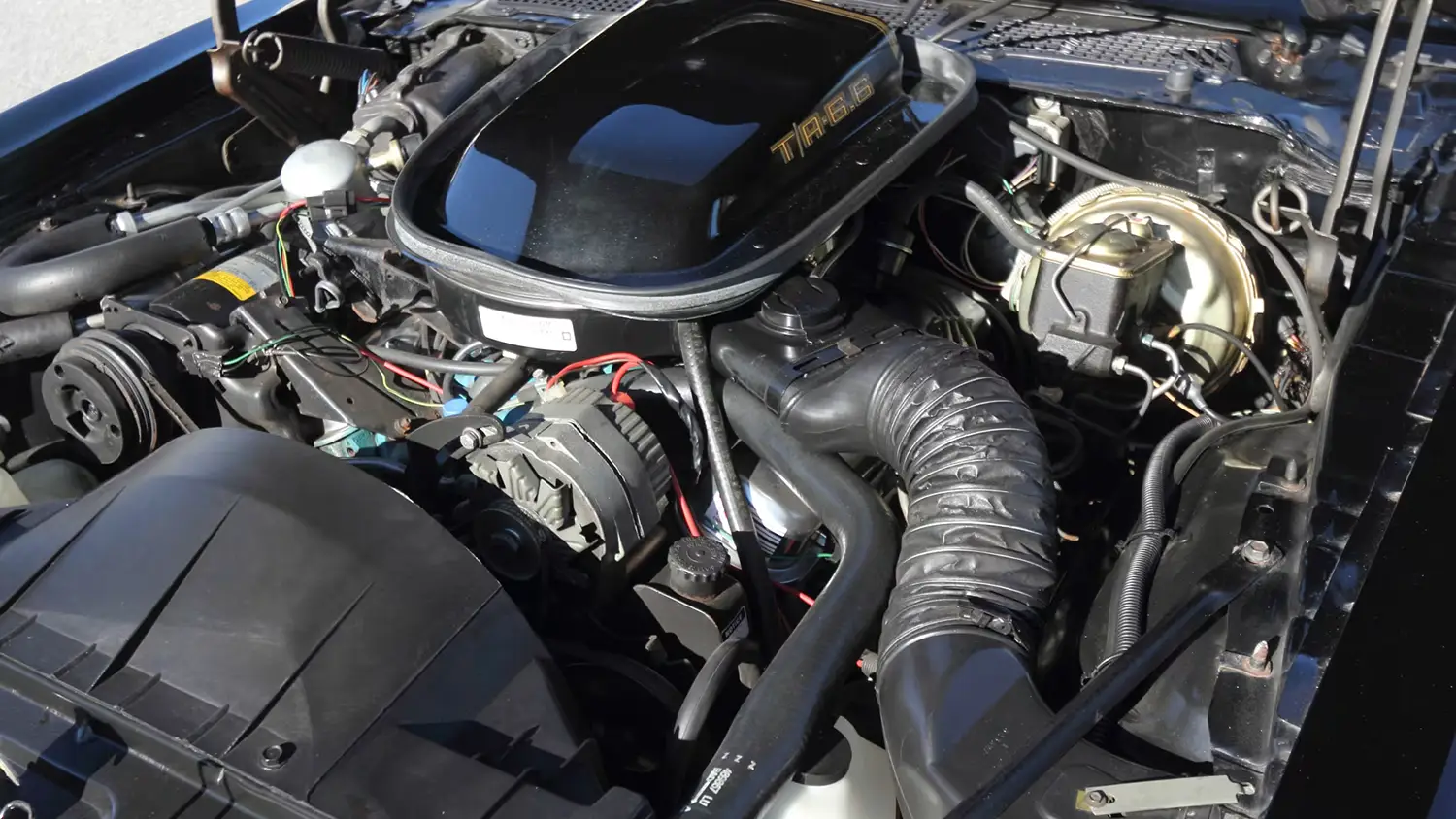 1979 Pontiac Trans Am SE