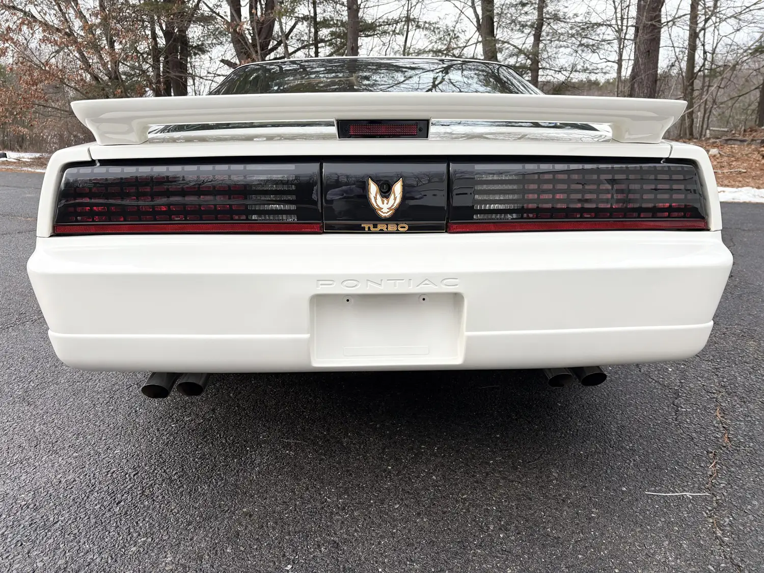 1989 Pontiac Firebird Turbo Trans Am