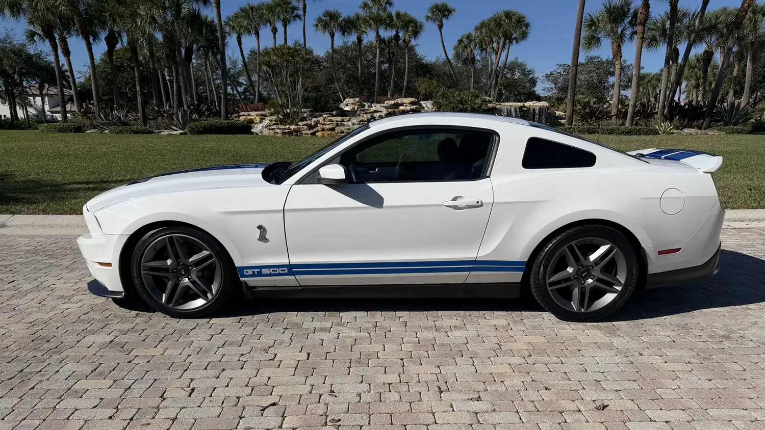 2010 Ford Shelby GT500 2010 Ford Shelby GT500