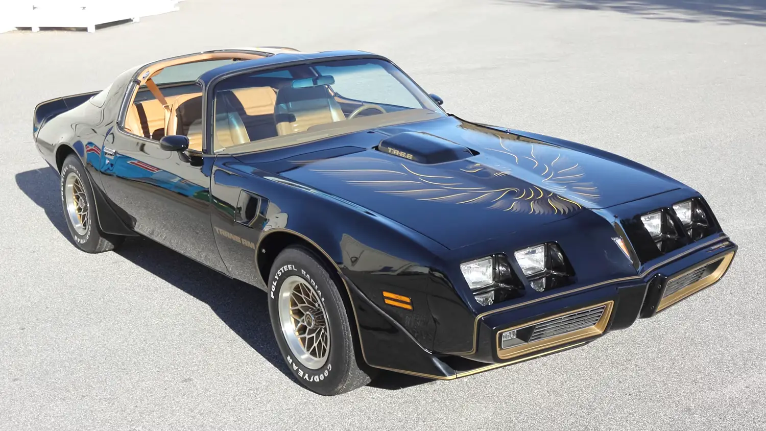 1979 Pontiac Trans Am SE