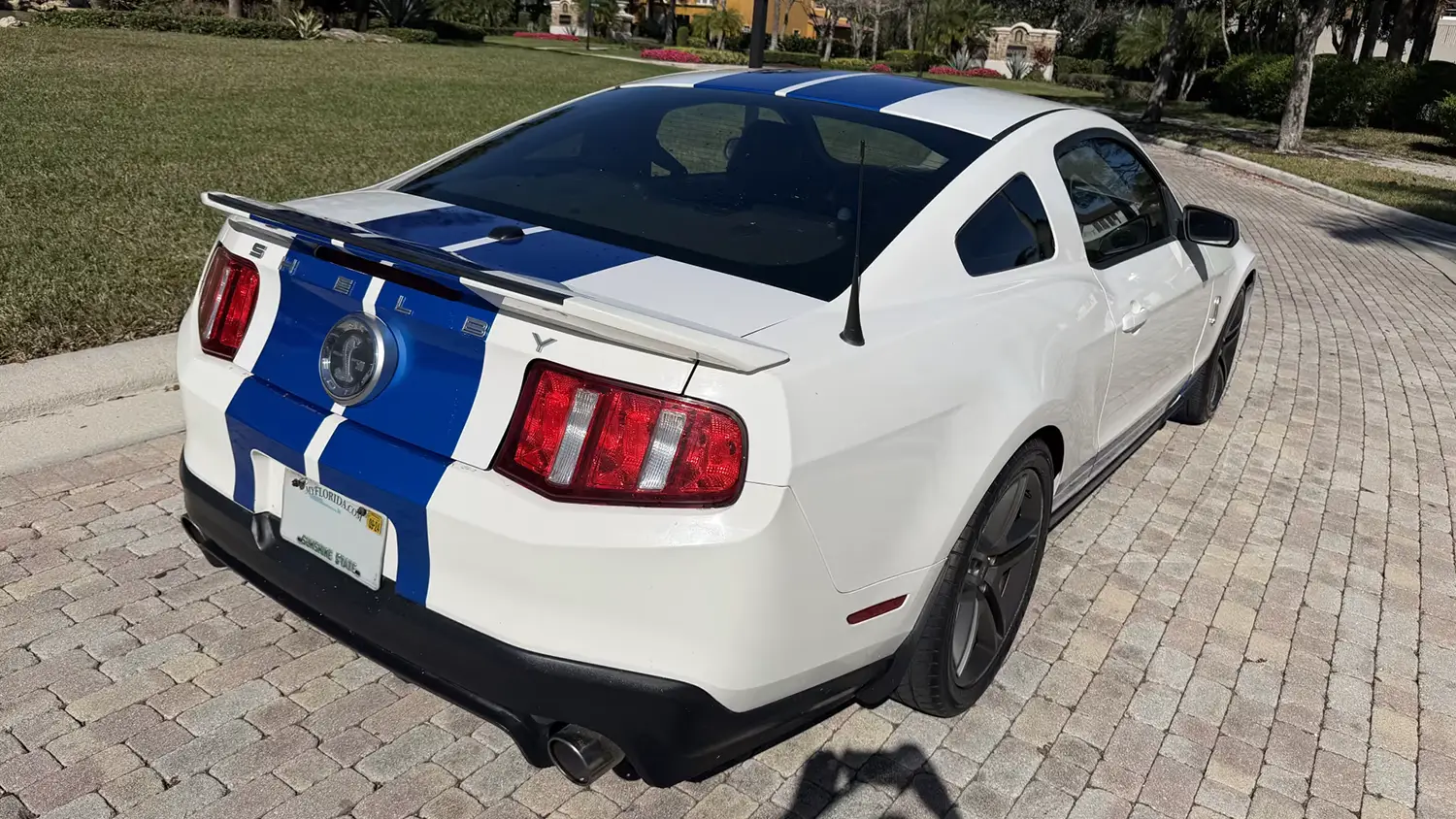 2010 Ford Shelby GT500 2010 Ford Shelby GT500