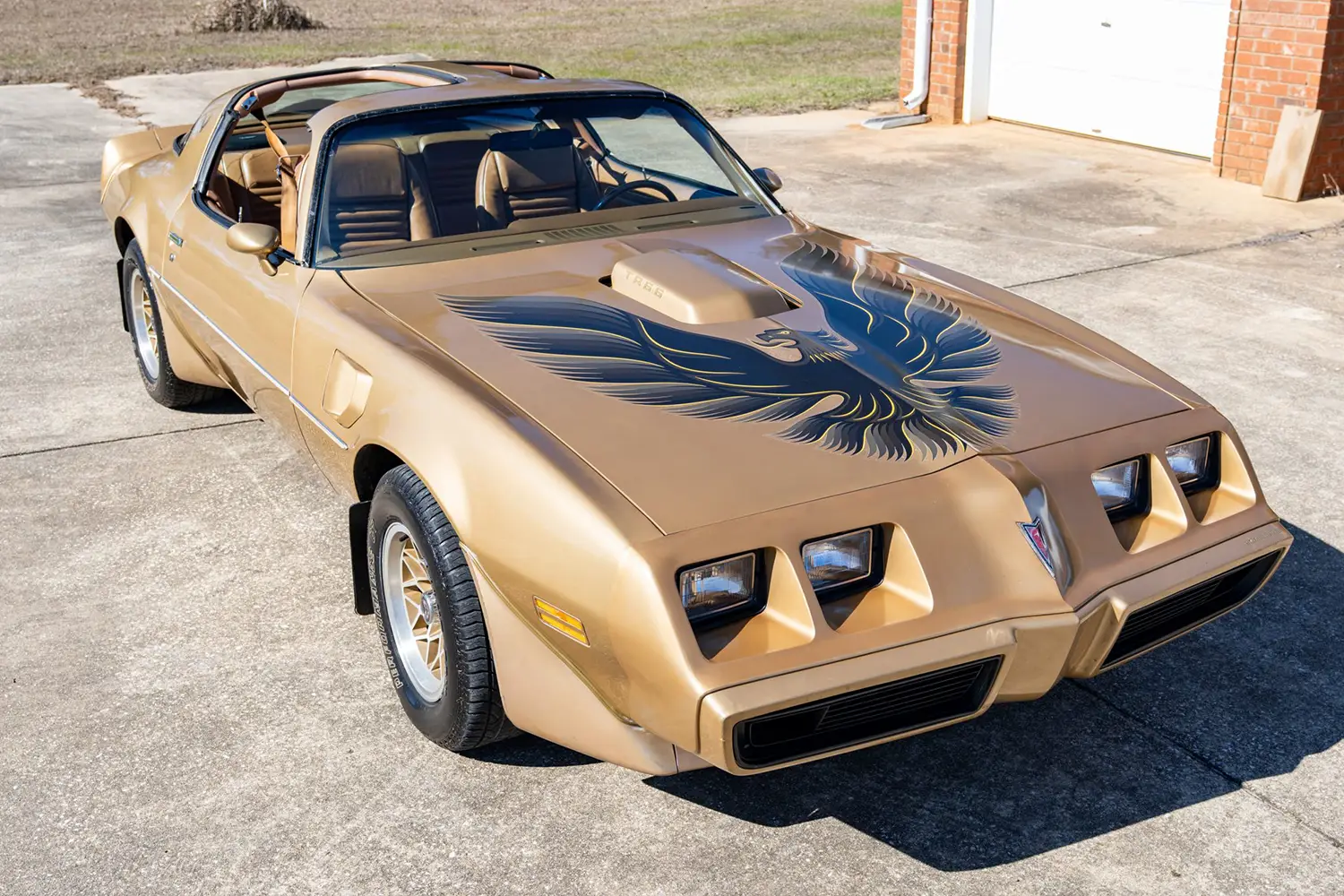 1979 Pontiac Firebird Trans Am 1979 Pontiac Firebird Trans Am