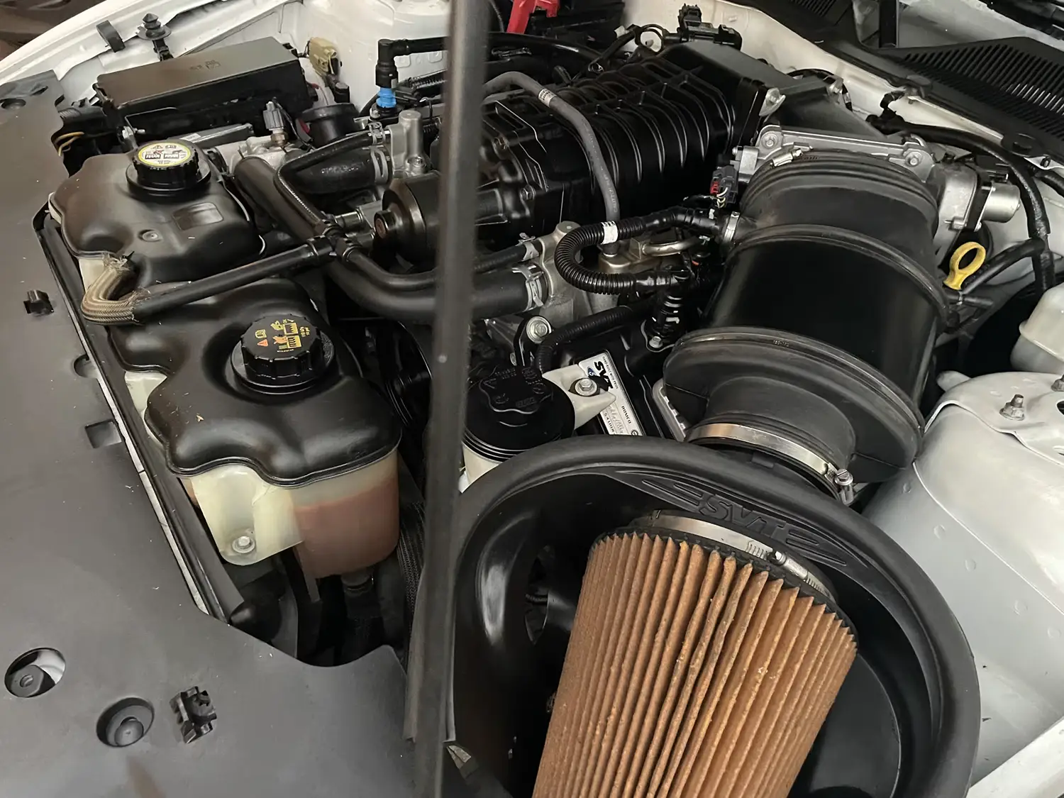 2010 Ford Shelby GT500 2010 Ford Shelby GT500