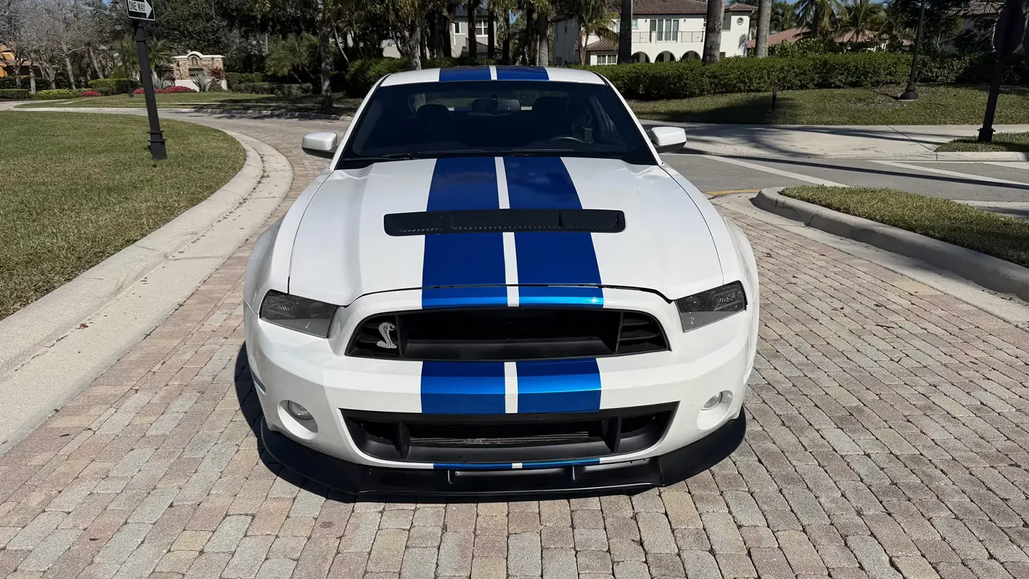 2010 Ford Shelby GT500