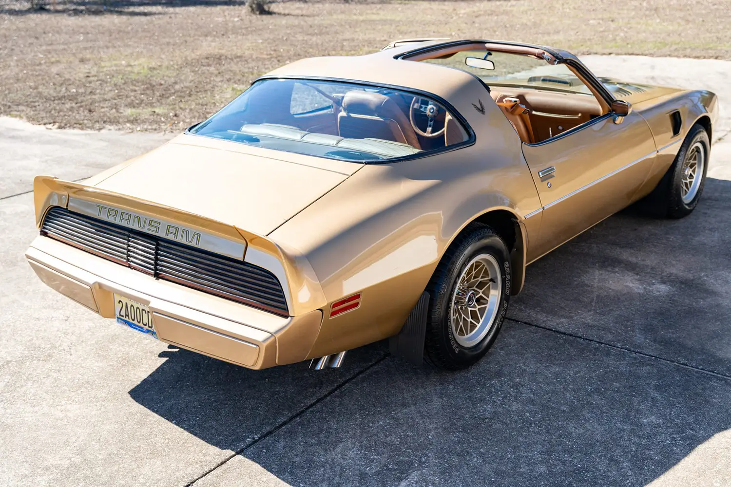 1979 Pontiac Firebird Trans Am 1979 Pontiac Firebird Trans Am