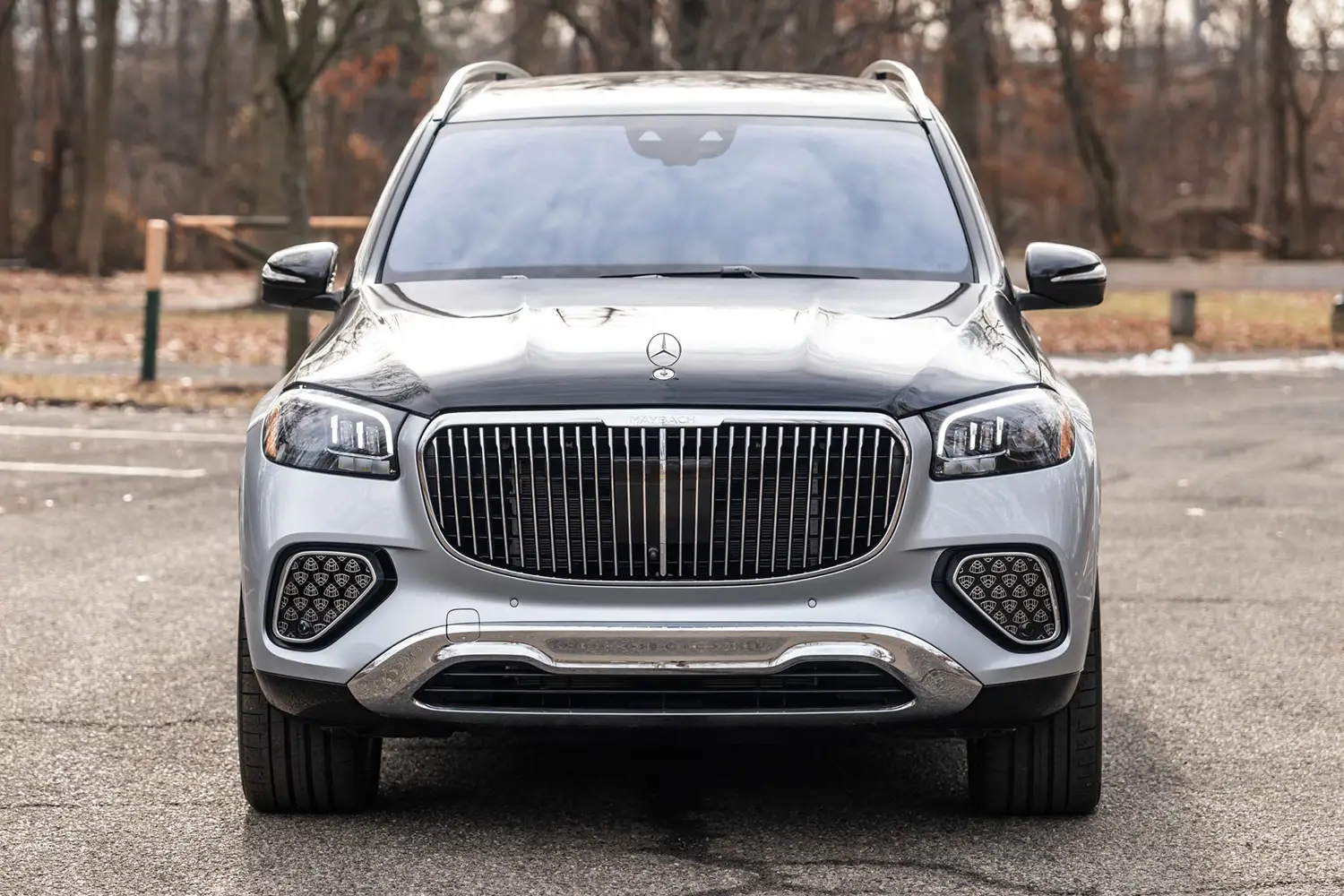 2025 Mercedes-Maybach GLS600 2025 Mercedes-Maybach GLS600