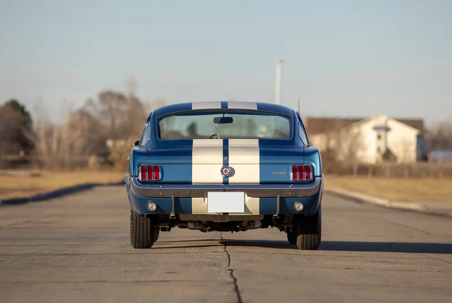 1966 Shelby GT350 Fastback