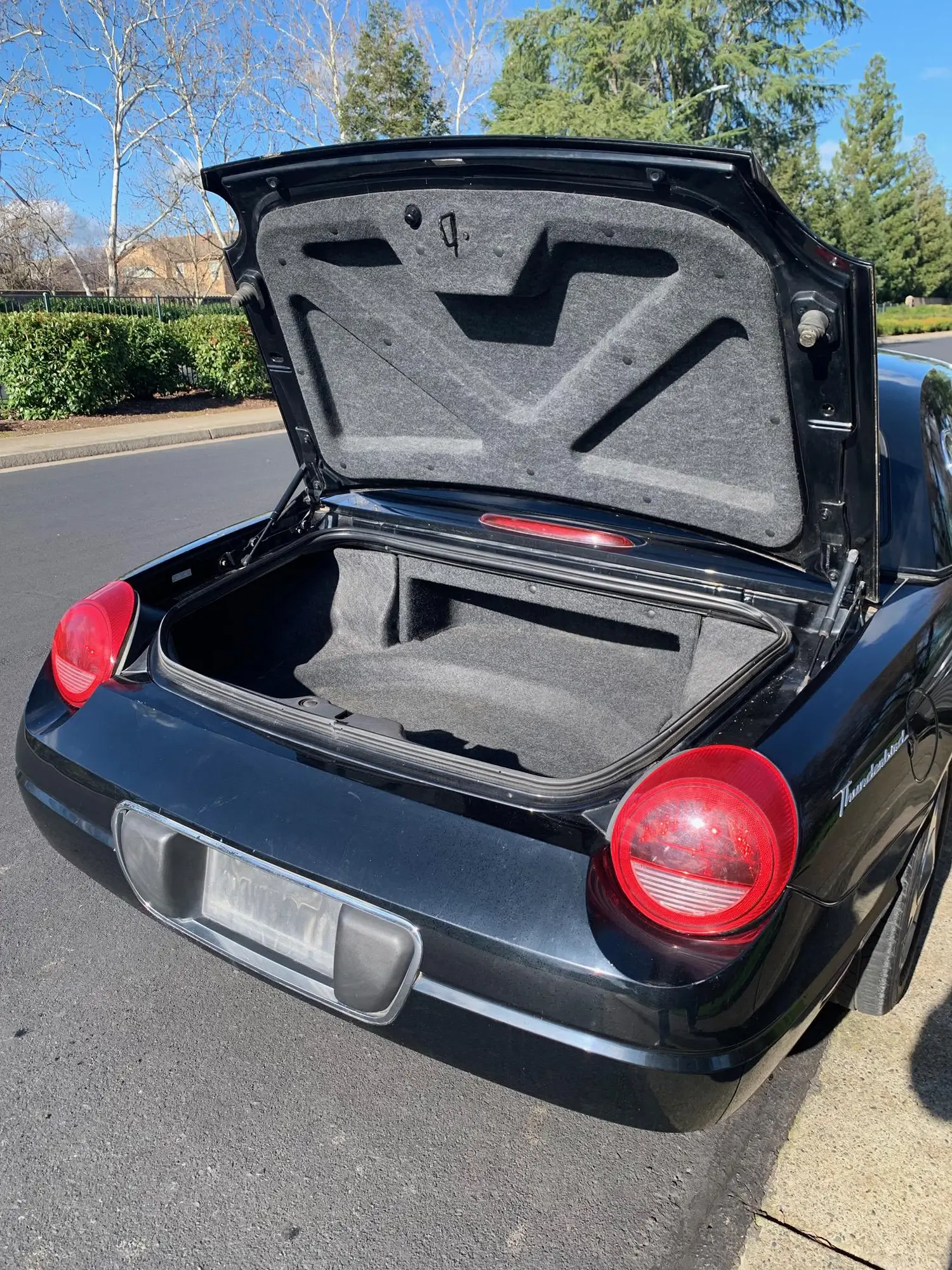 2002 Ford Thunderbird 2002 Ford Thunderbird