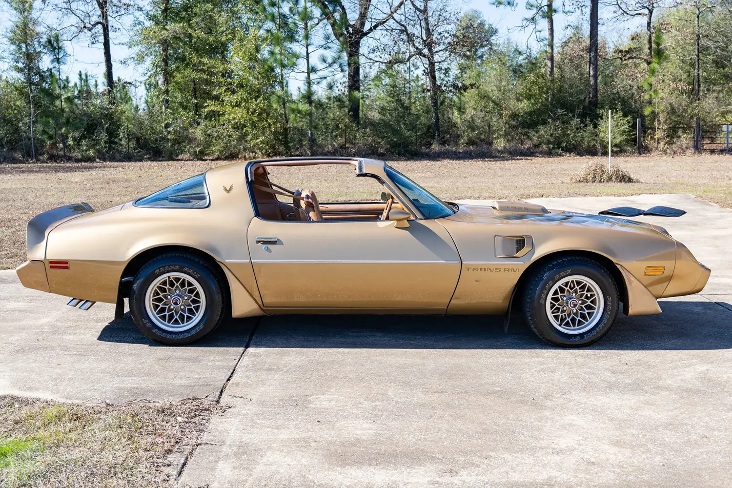 1979 Pontiac Firebird Trans Am 1979 Pontiac Firebird Trans Am