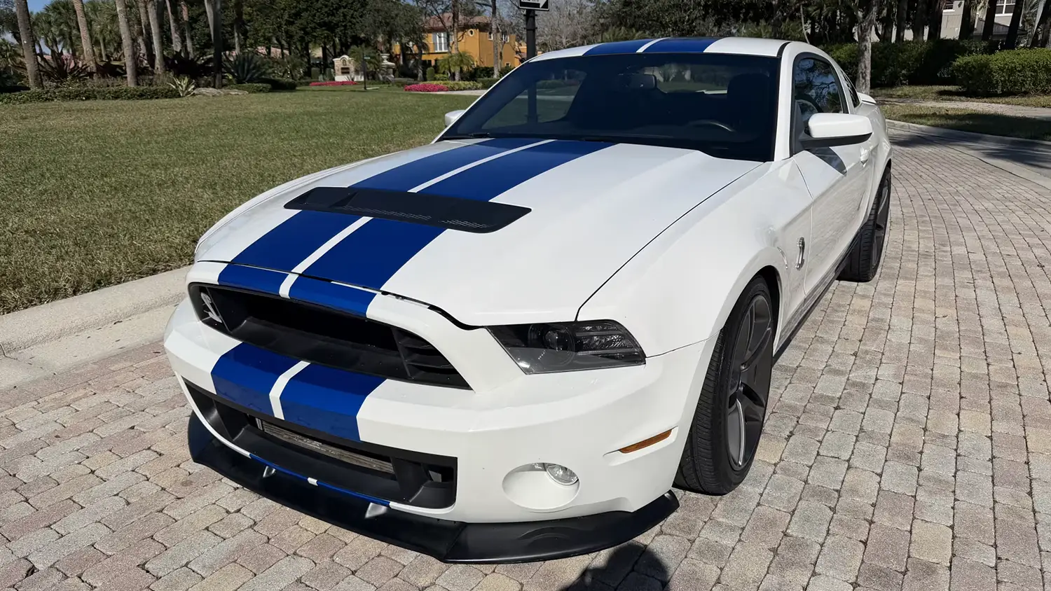 2010 Ford Shelby GT500 2010 Ford Shelby GT500