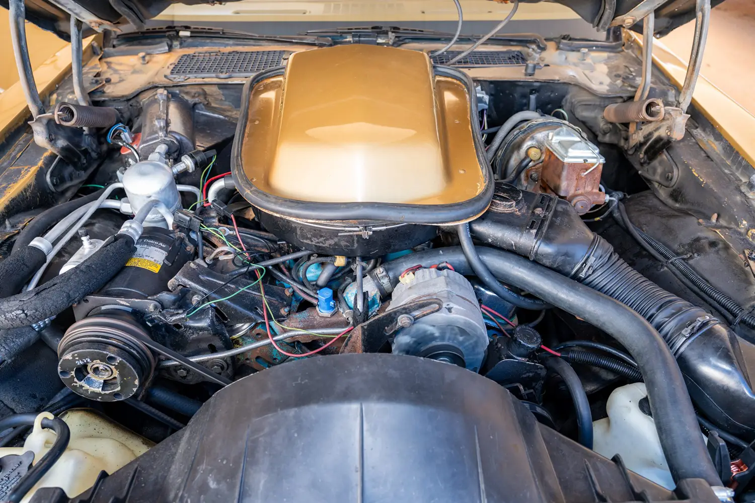 1979 Pontiac Firebird Trans Am 1979 Pontiac Firebird Trans Am