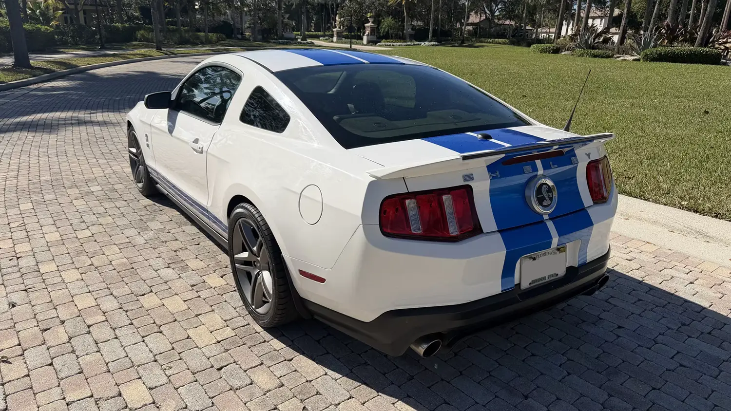 2010 Ford Shelby GT500 2010 Ford Shelby GT500