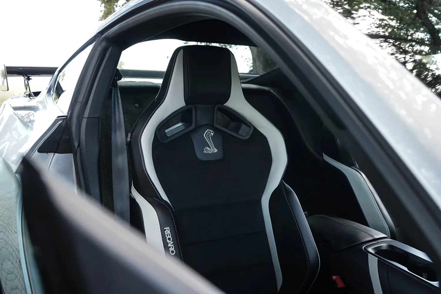 2022 Ford Mustang Shelby GT500