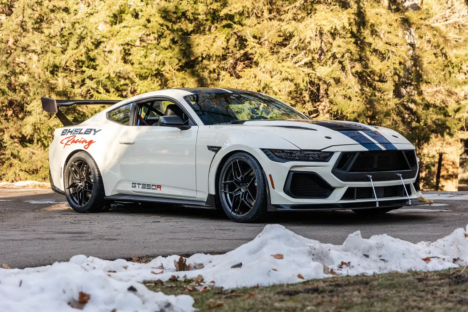 2025 Ford Shelby GT350R