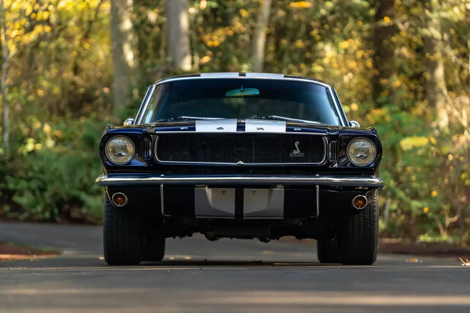 1965 Ford Mustang Fastback