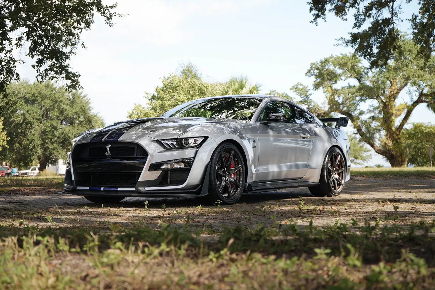 2022 Ford Mustang Shelby GT500